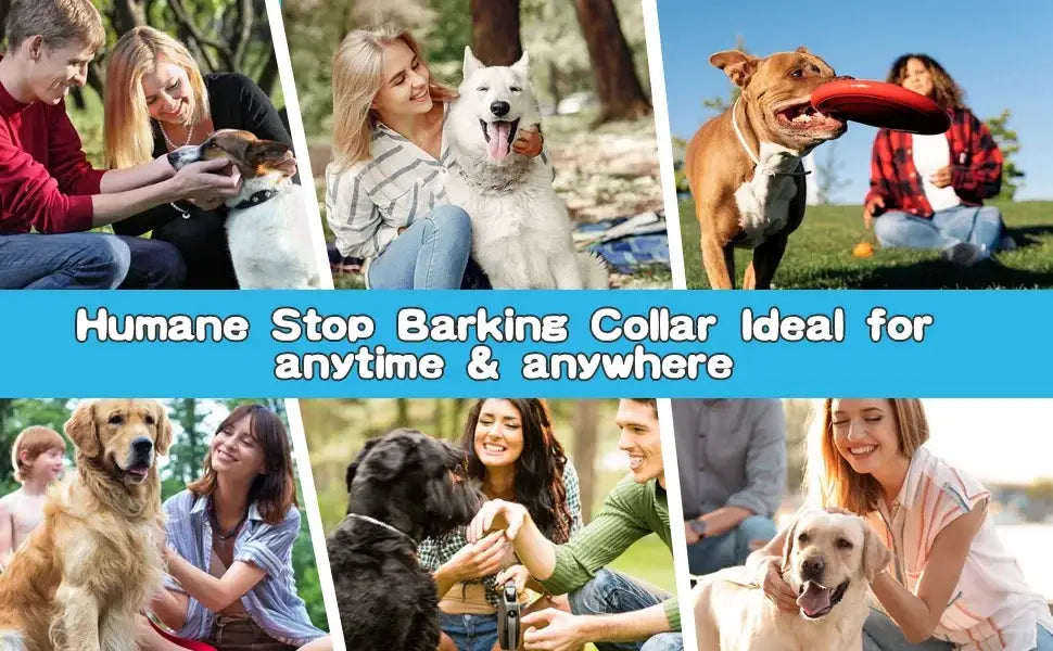 Humane Vibration Bark Collar for Quiet, Stress-Free Training