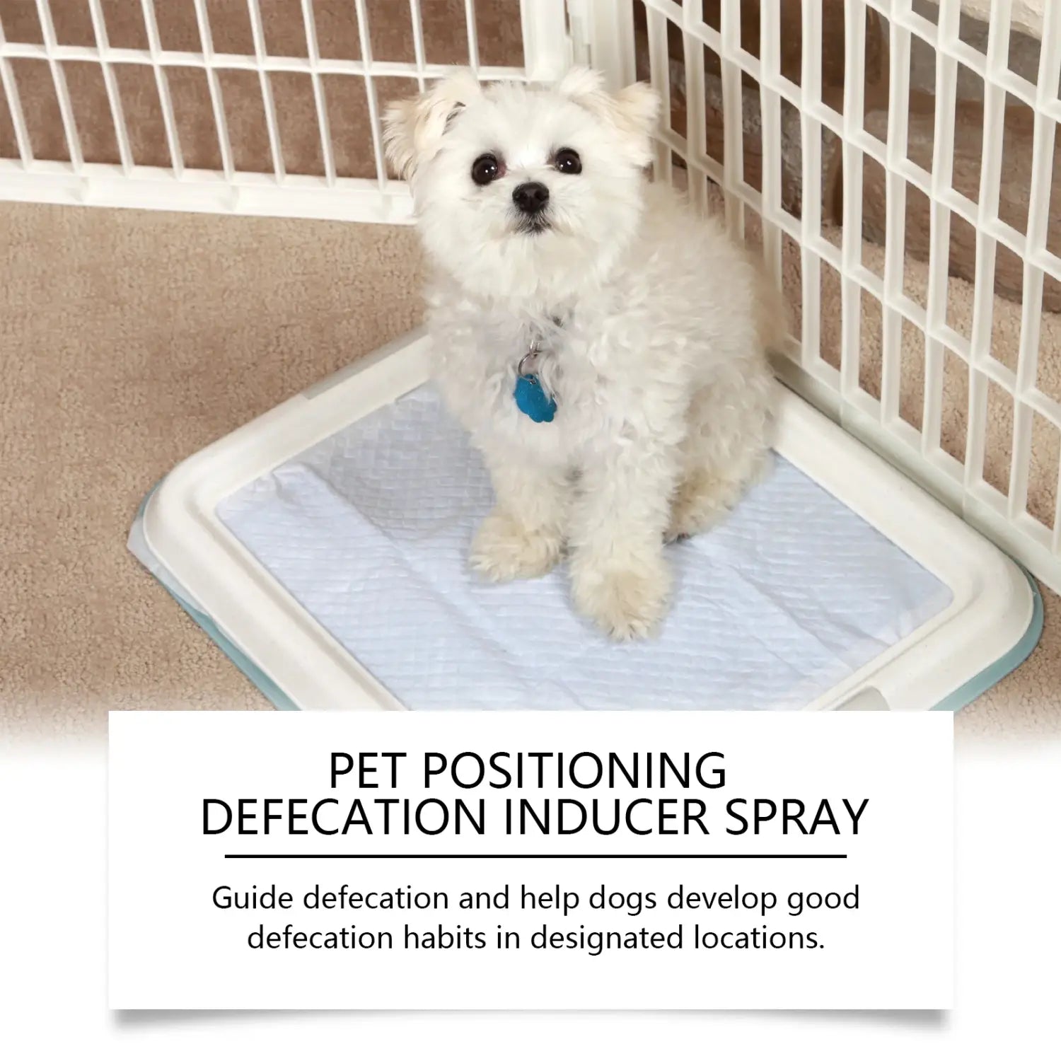 YEGBONG 50ml Pet Potty Training Spray for Dogs and Cats