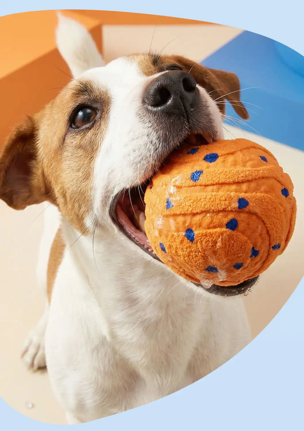 Rechargeable Interactive Dog Ball for Active Healthy Play