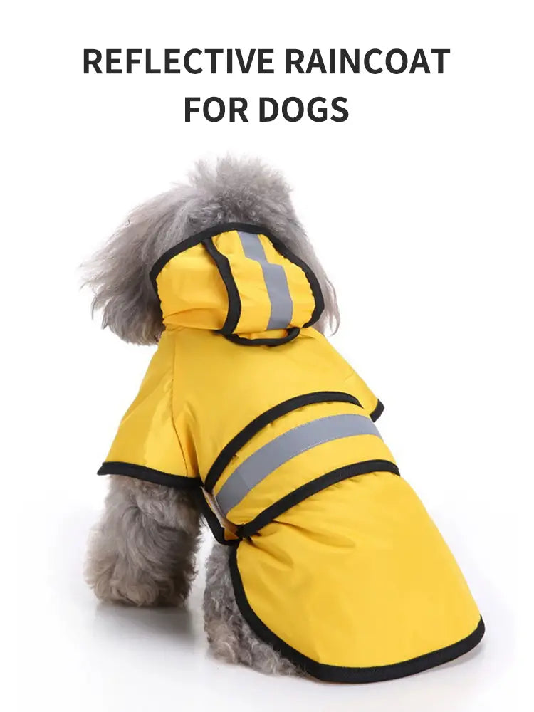 Adjustable waterproof and windproof dog raincoat for rainy walks