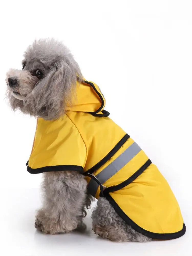 Adjustable waterproof and windproof dog raincoat for rainy walks