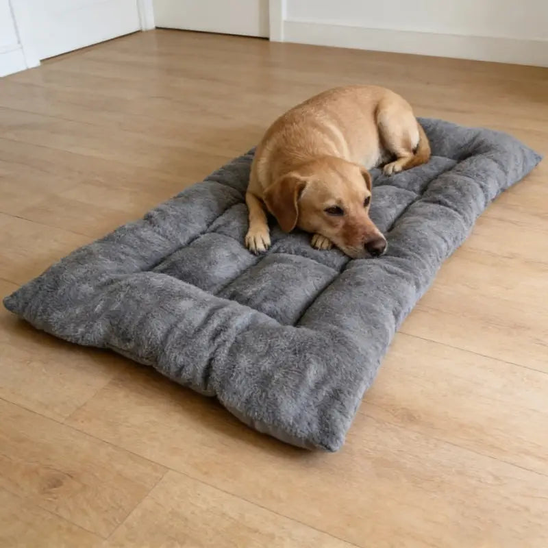 Orthopedic Pet Mat for Joint Support and Machine Washable