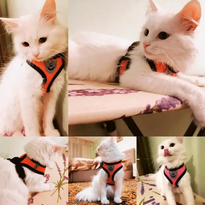 Reflective Pet Harness Vest and Leash Set for Safety