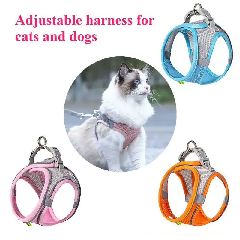 Cat Dog Toys for Aggressive Chewers Cats Dogs,Chew Squeak Toy Cats Dogs Interactive Plush Doll Pet Products