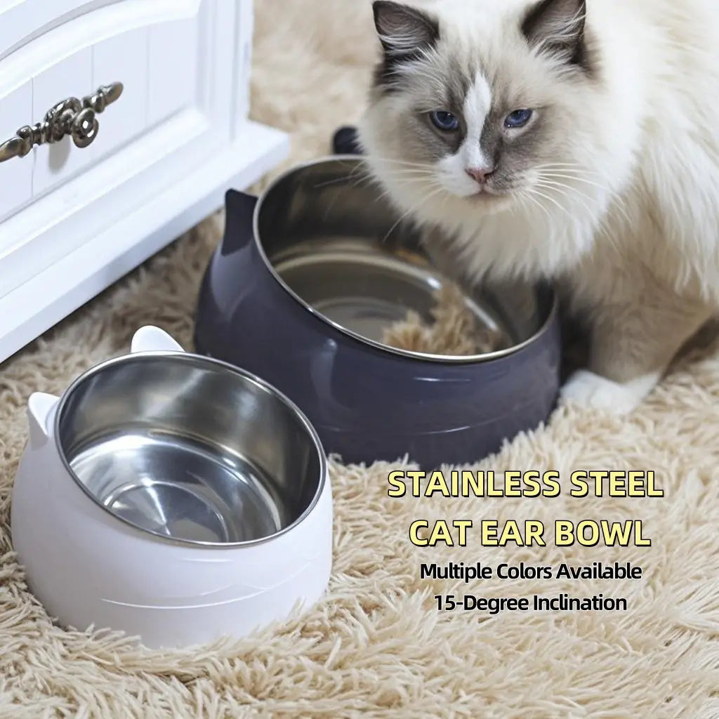 Elevated Stainless Steel elevated pet bowl Set