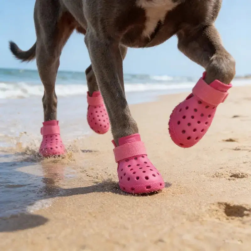 Waterproof Silicone Dog Rain Boots to Help Keep Paws Dry