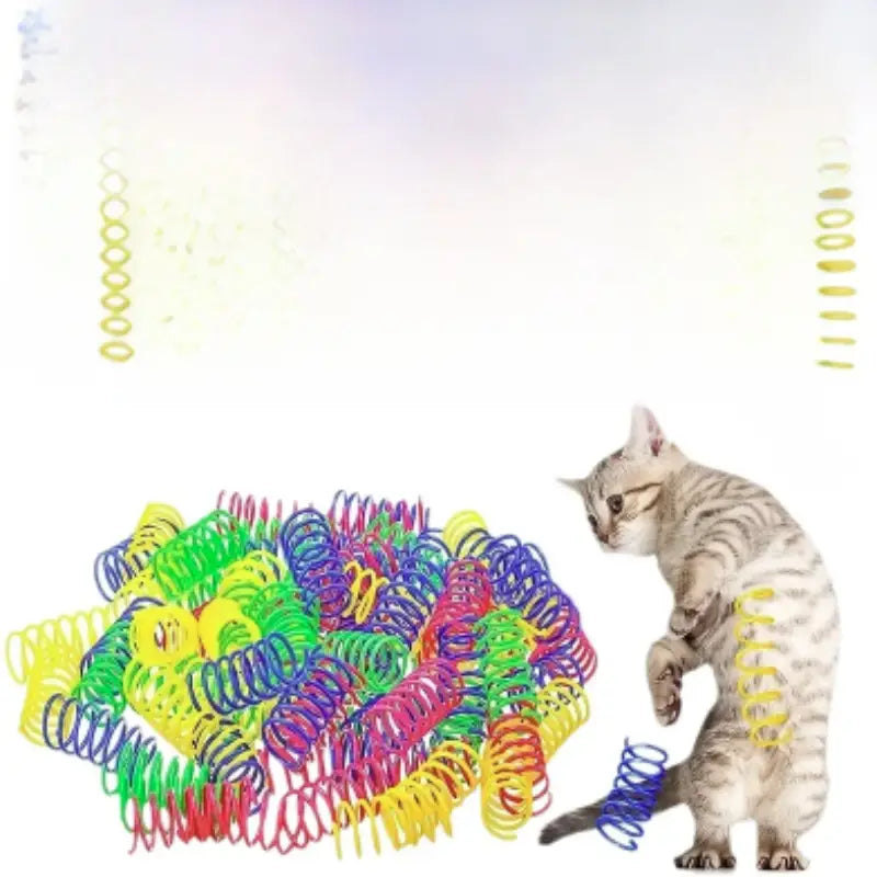 Cat Spring Toy for Daily Hunting and Active Exercise