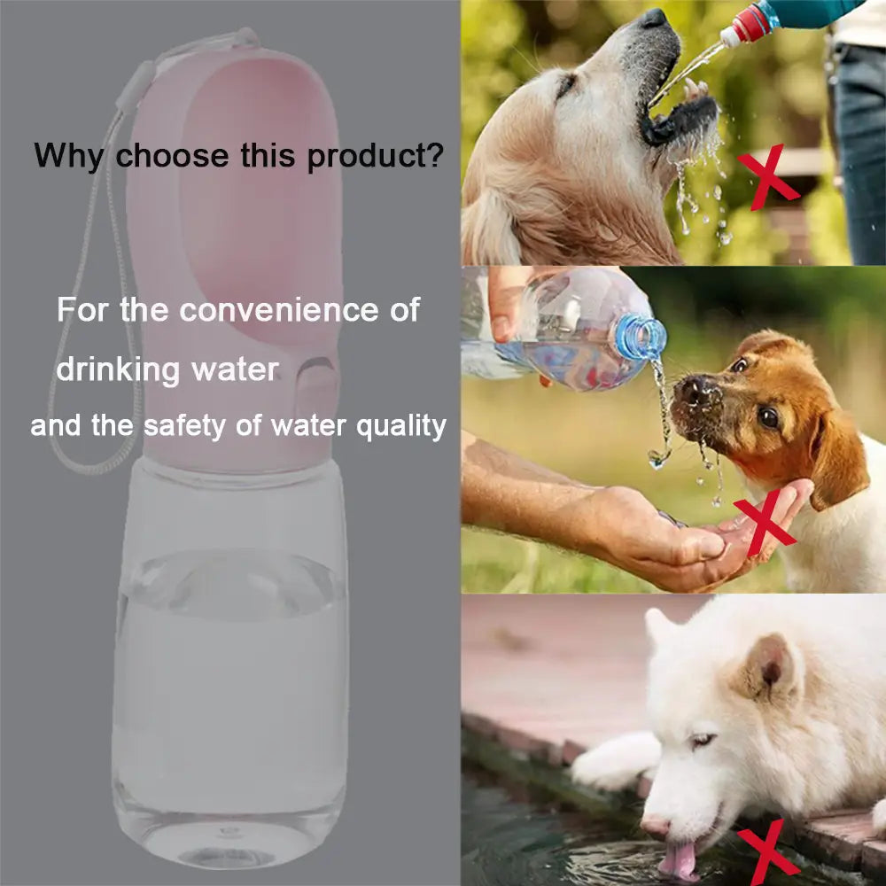 Leakproof Portable Pet Water Bottle for Easy Travel Hydration