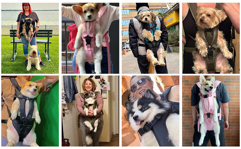 Pet Carrier Backpack for Dogs Cat Thickened Sponge Pet Front Dog Carrier Backpacks Portable Puppy Transportation Dog