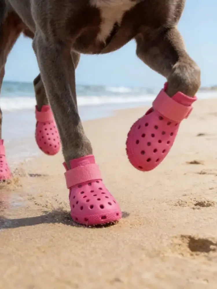 Waterproof Silicone Dog Rain Boots to Help Keep Paws Dry