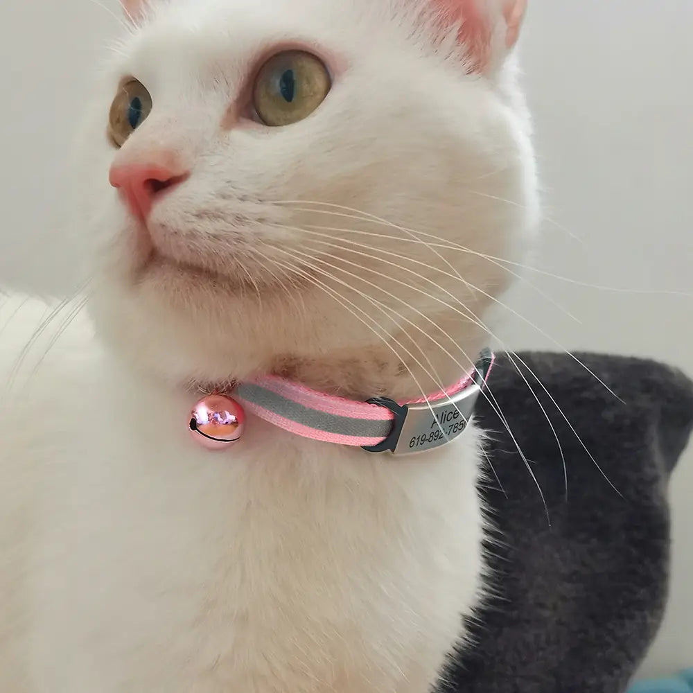 Reflective Cat Collar with Custom Engraved ID Tag