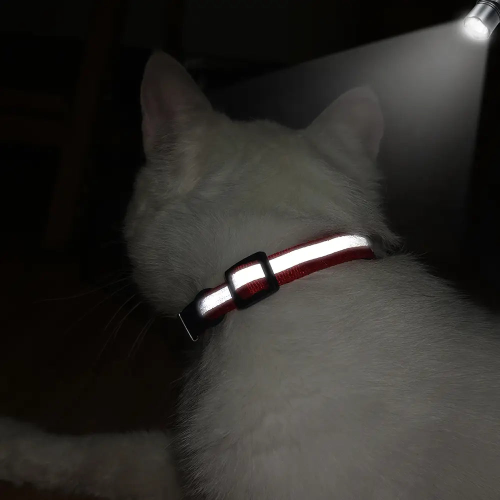 Reflective Cat Collar with Custom Engraved ID Tag