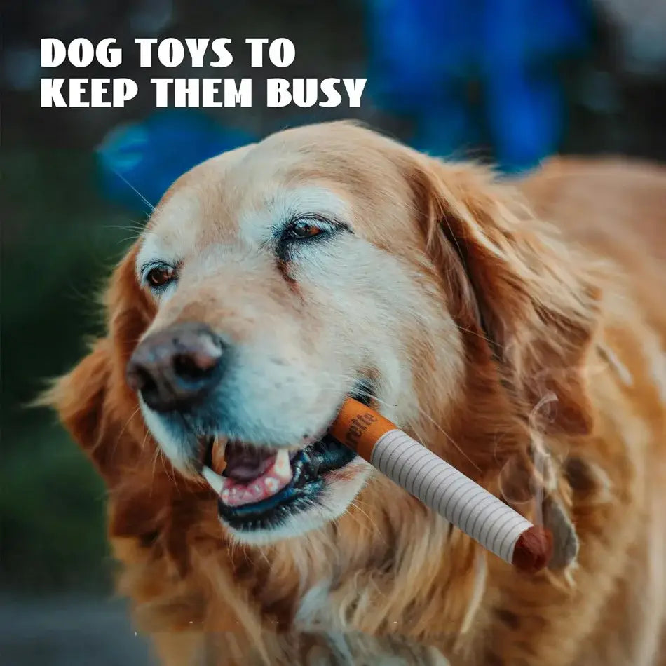 Squeaky cigarette dog toy for interactive play