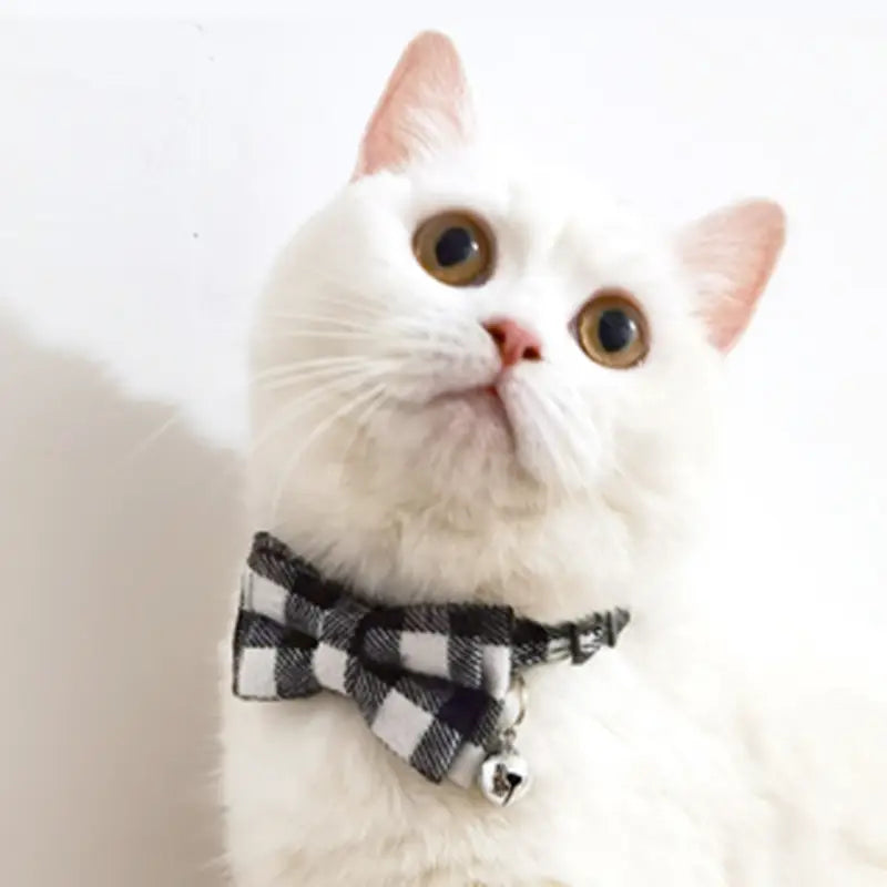 Adjustable Breakaway Cat Collar with Bow and Safety Bell