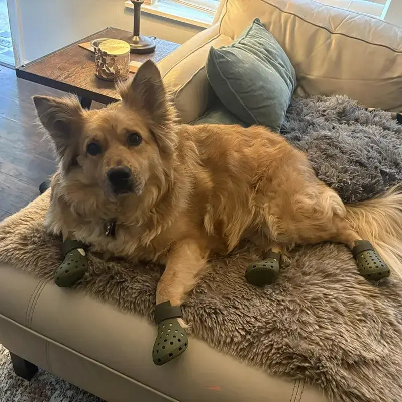 Waterproof Silicone Dog Rain Boots to Help Keep Paws Dry