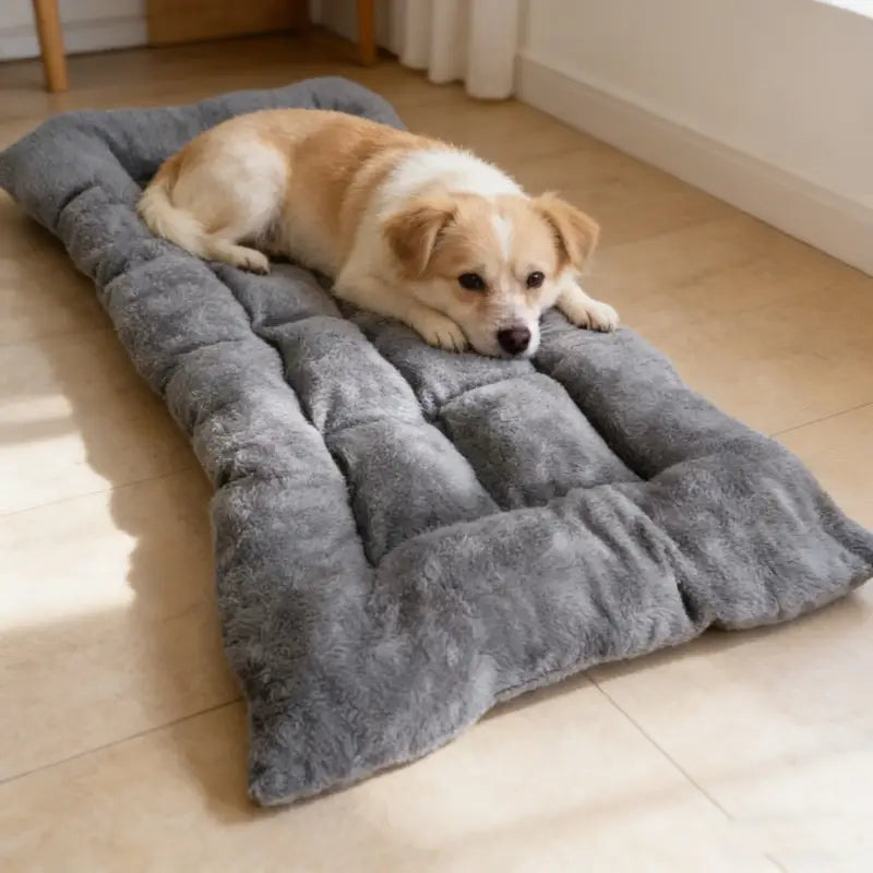 Orthopedic Pet Mat for Joint Support and Machine Washable