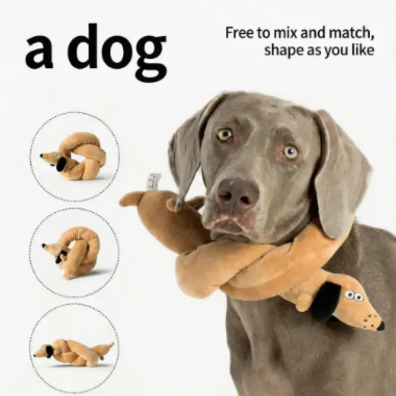 Snail Shaped Dog and Cat Toys Pet Products Pet Supplies Mats to Hide Food Odors Training Puzzles and Fun Sniffing Toys