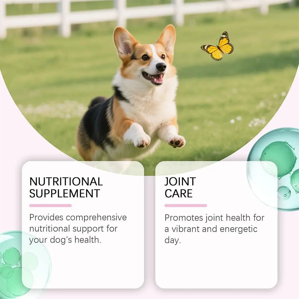 Liquid Collagen for Dogs, 60ml Pet Nutritional Supplement