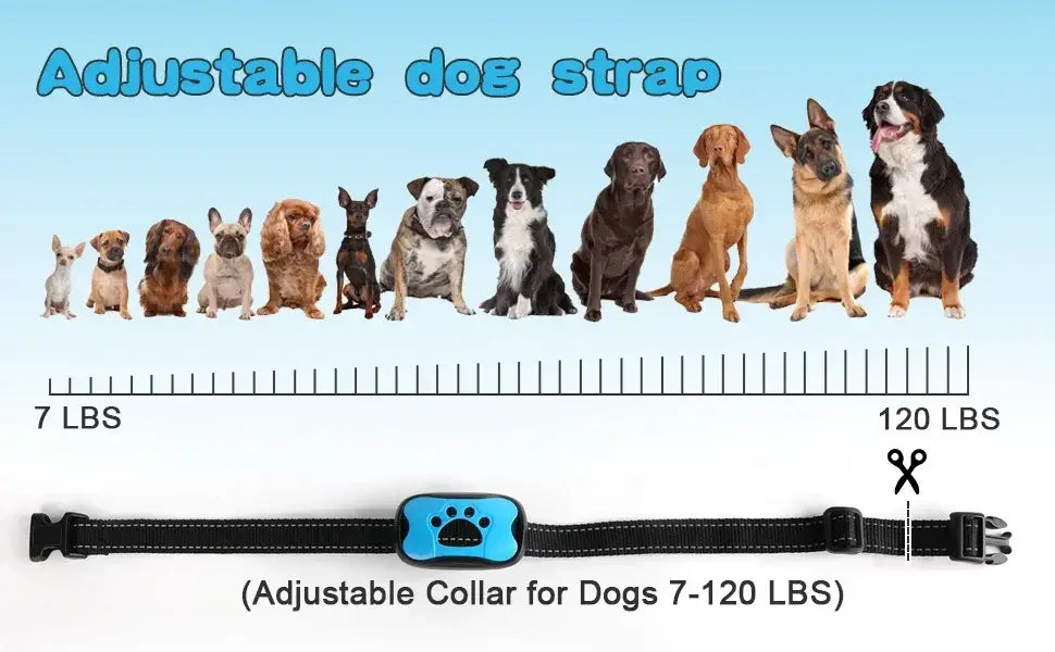 Humane Vibration Bark Collar for Quiet, Stress-Free Training
