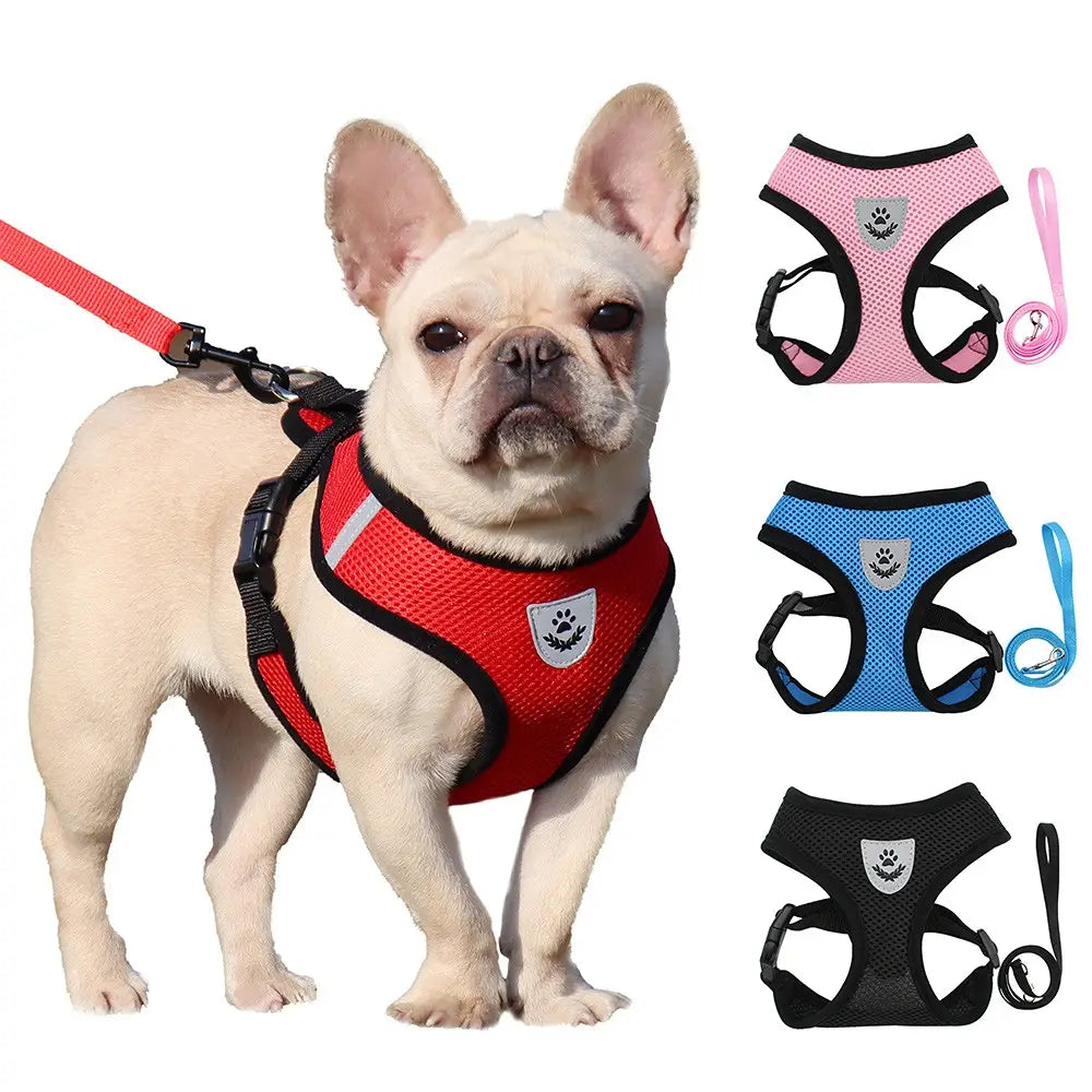 Reflective Pet Harness Vest and Leash Set for Safety