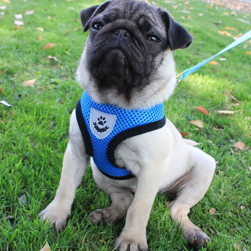 Reflective Pet Harness Vest and Leash Set for Safety