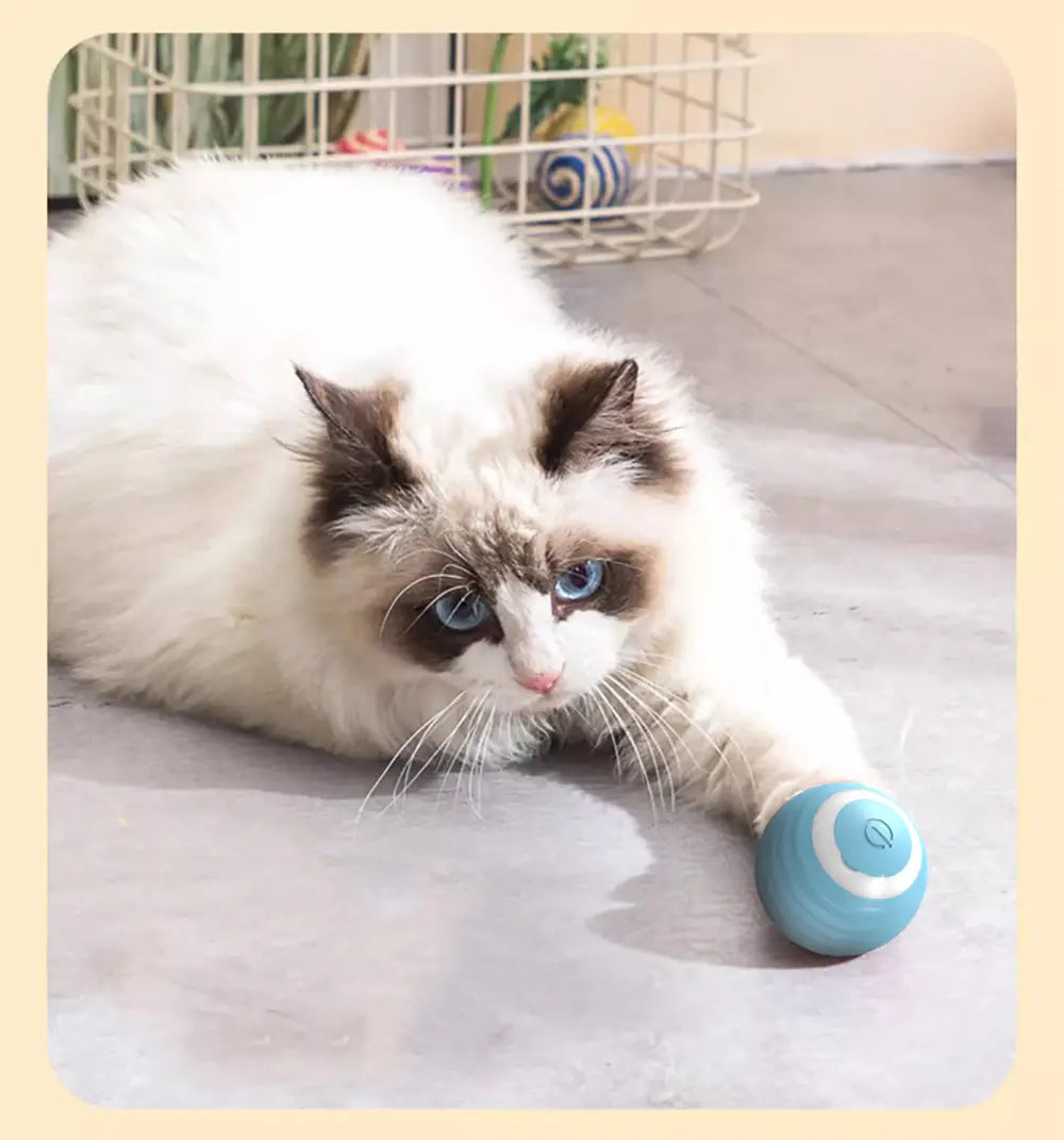 Interactive Cat Ball Electric Automatic Rolling Smart Toy