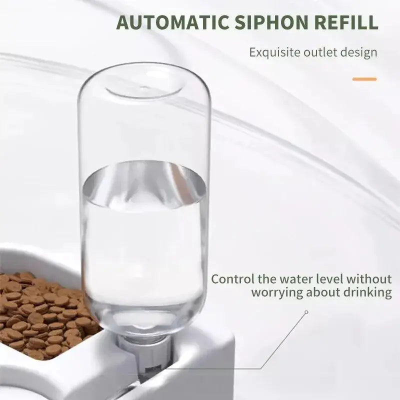 Automatic Pet Feeder with Integrated Water Dispenser