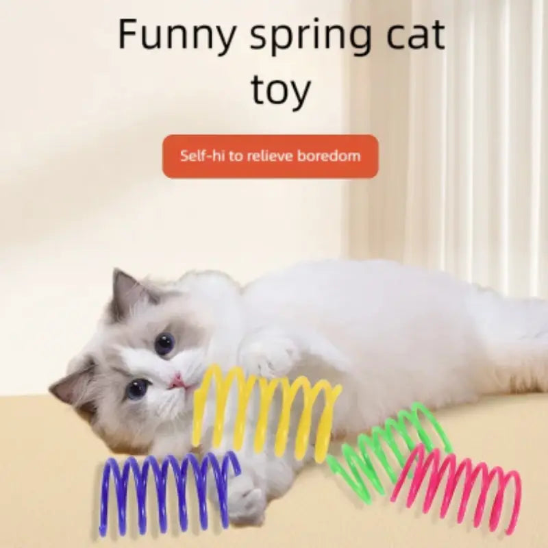 Cat Spring Toy for Daily Hunting and Active Exercise