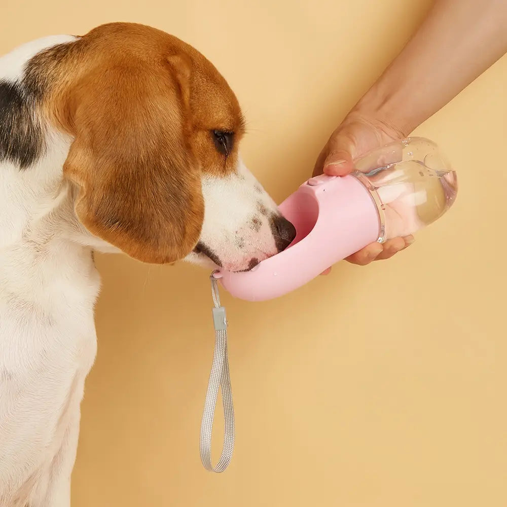Leakproof Portable Pet Water Bottle for Easy Travel Hydration