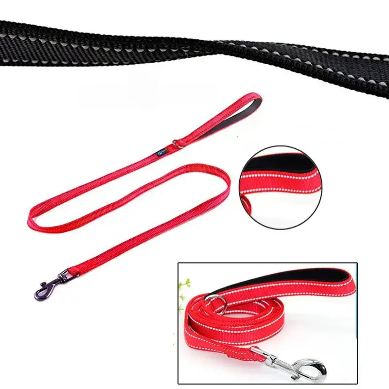 Dual Handle Dog Leash for Total Control and Safety