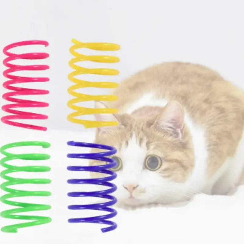 Cat Spring Toy for Daily Hunting and Active Exercise