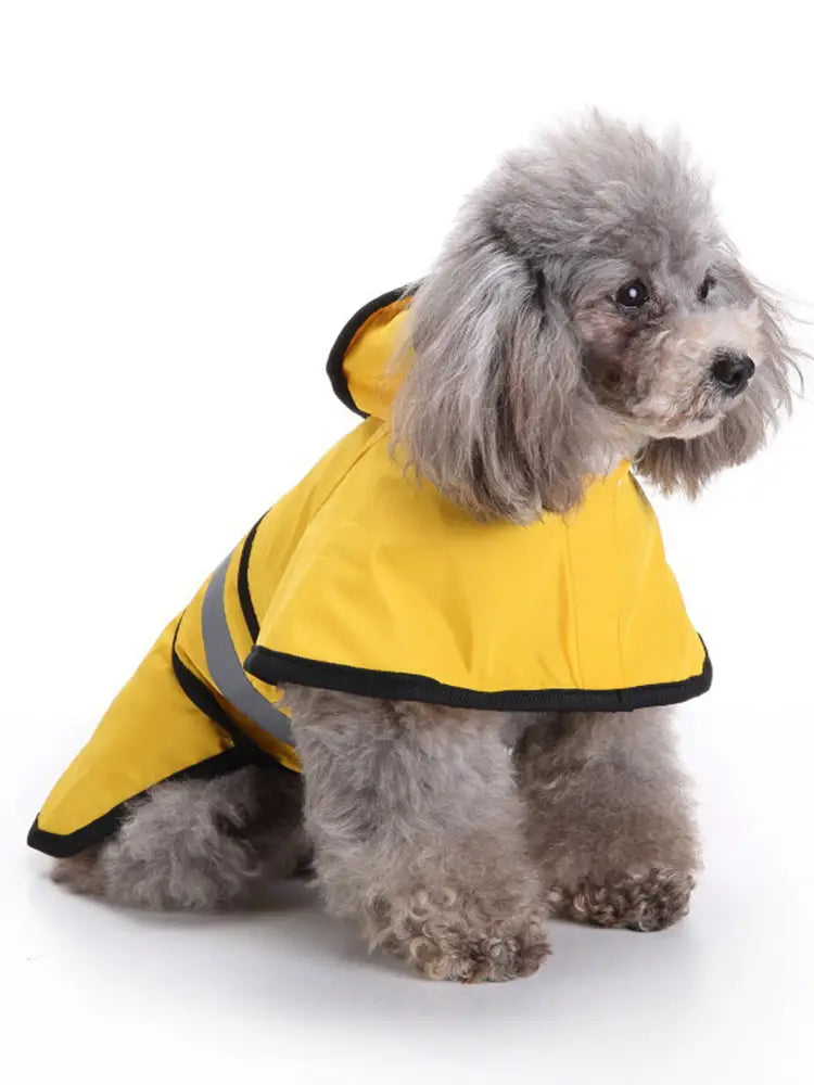 Adjustable waterproof and windproof dog raincoat for rainy walks