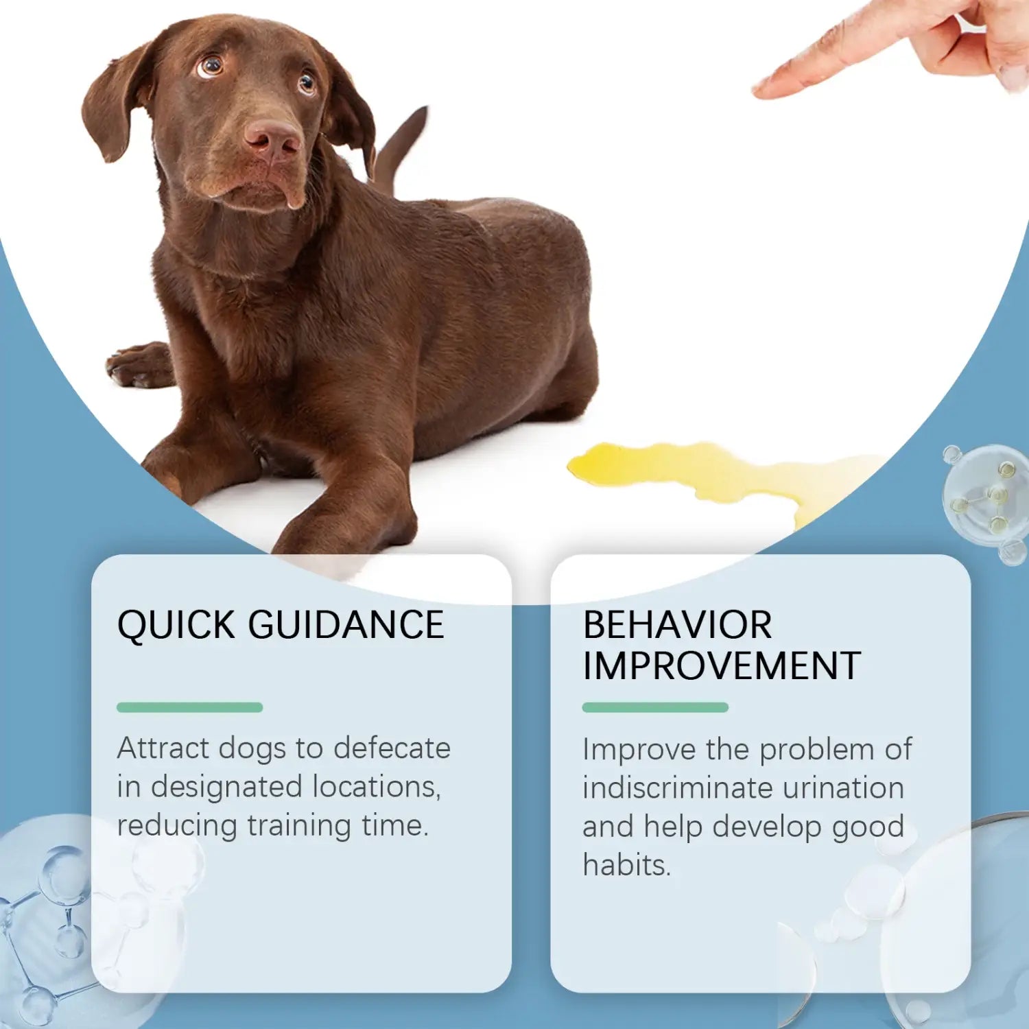 YEGBONG 50ml Pet Potty Training Spray for Dogs and Cats