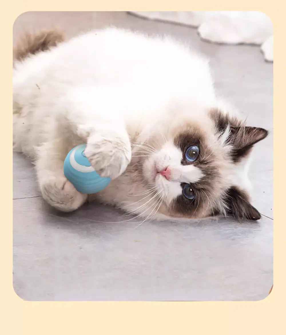 Interactive Cat Ball Electric Automatic Rolling Smart Toy