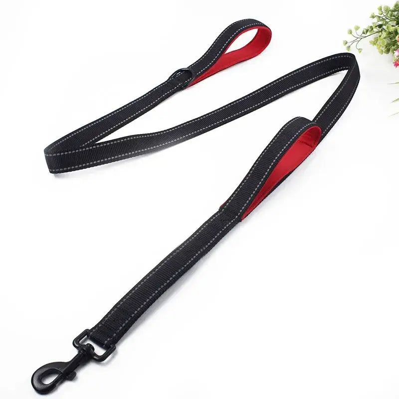 Dual Handle Dog Leash for Total Control and Safety