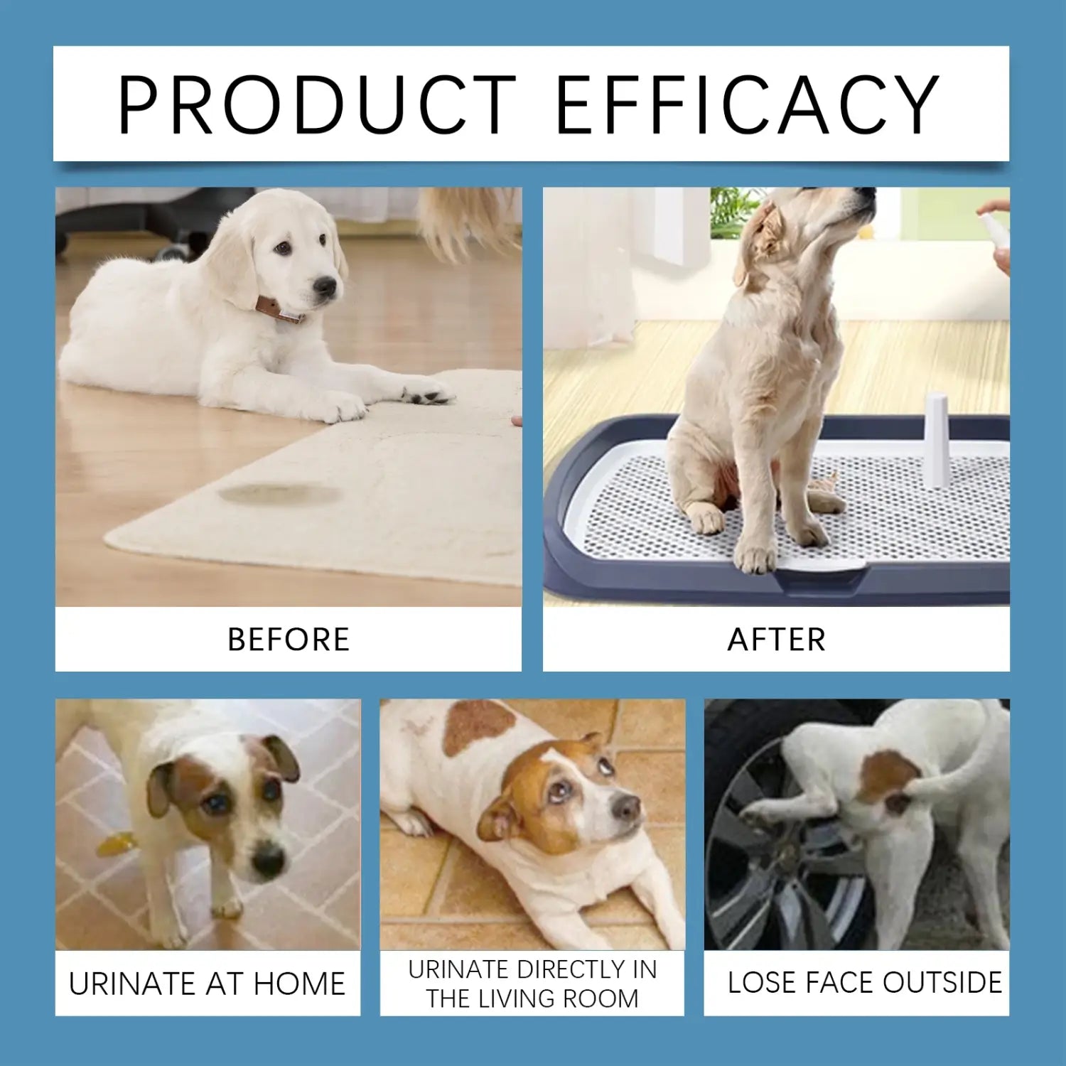 YEGBONG 50ml Pet Potty Training Spray for Dogs and Cats