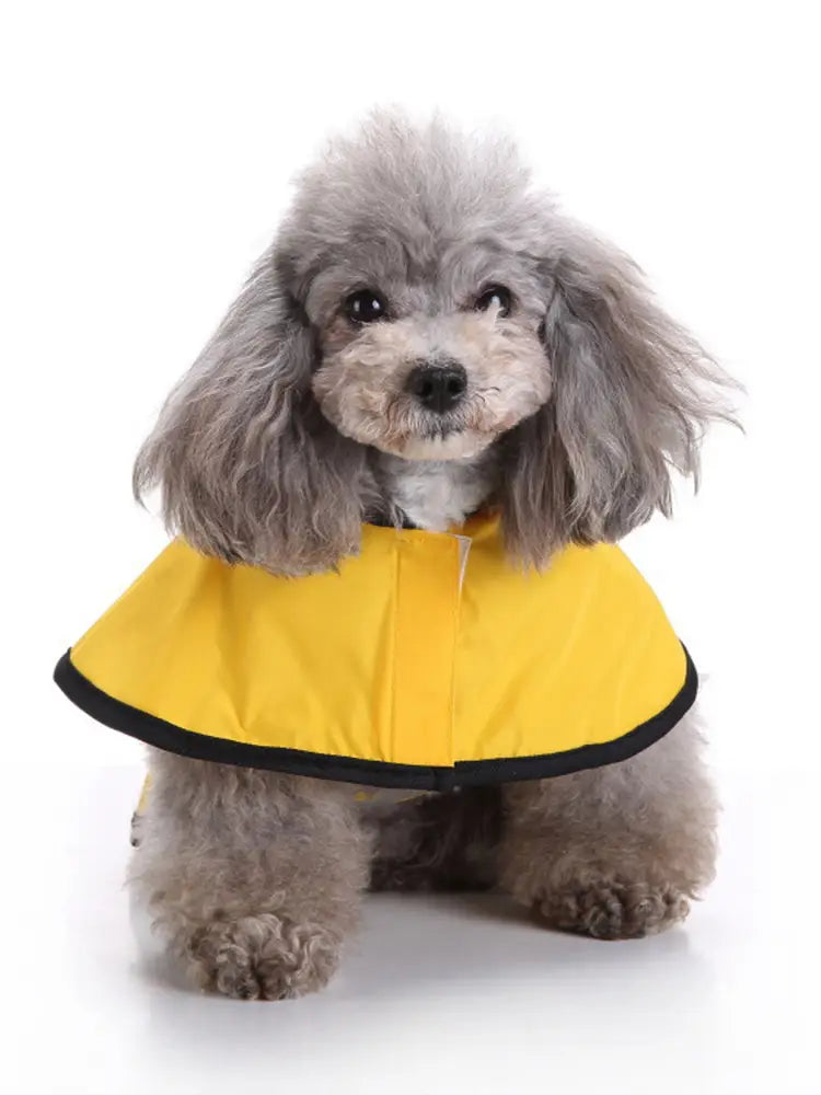 Adjustable waterproof and windproof dog raincoat for rainy walks