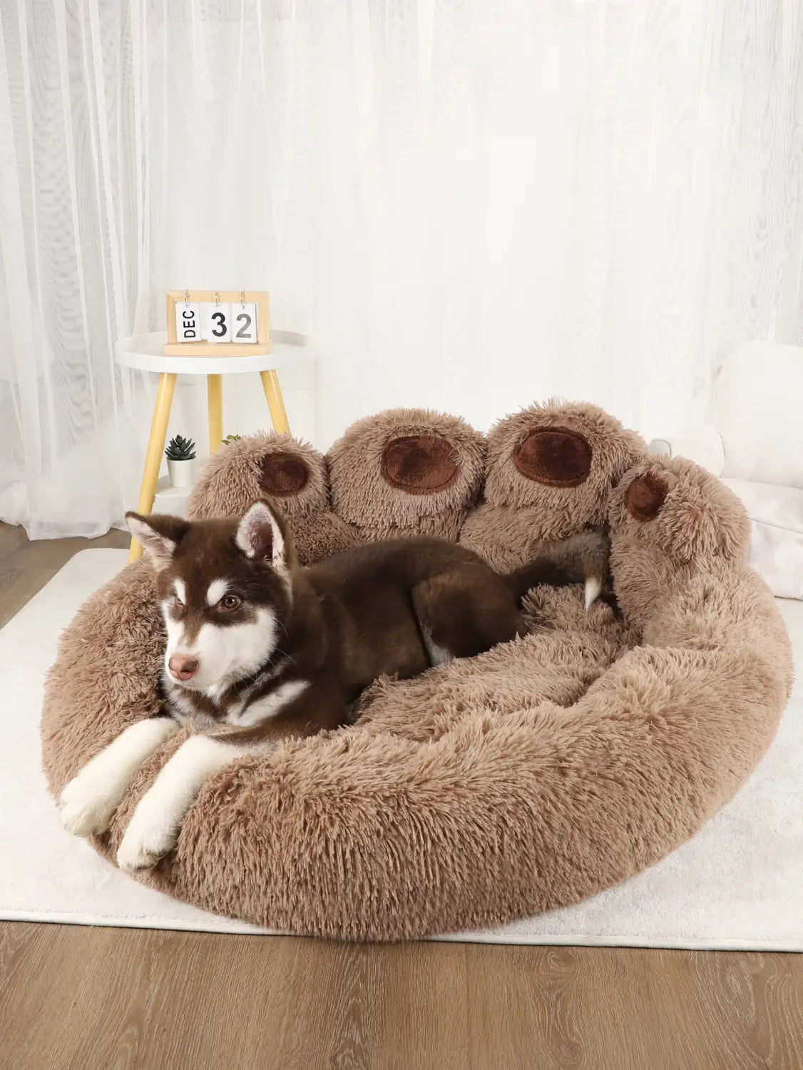 Cozy Heated Dog Bed for Restful Pet Sleep