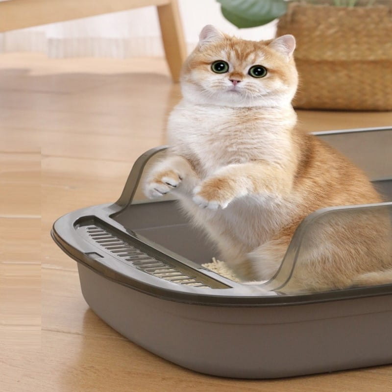 Cat Litter Box with Splash Guard for Easy Cleaning