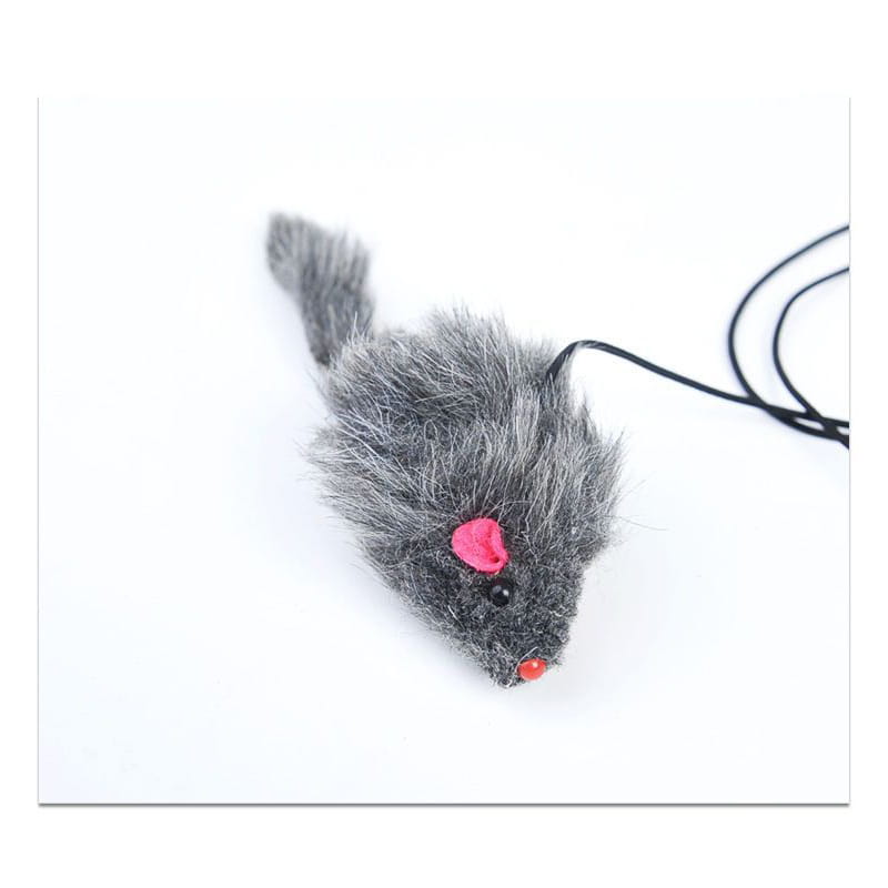 Hanging Door Cat Toy for Endless Engaging Playtime