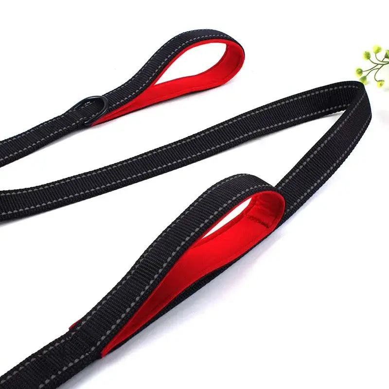Dual Handle Dog Leash for Total Control and Safety