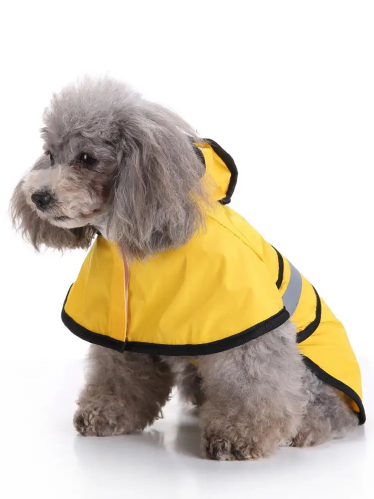 Adjustable waterproof and windproof dog raincoat for rainy walks