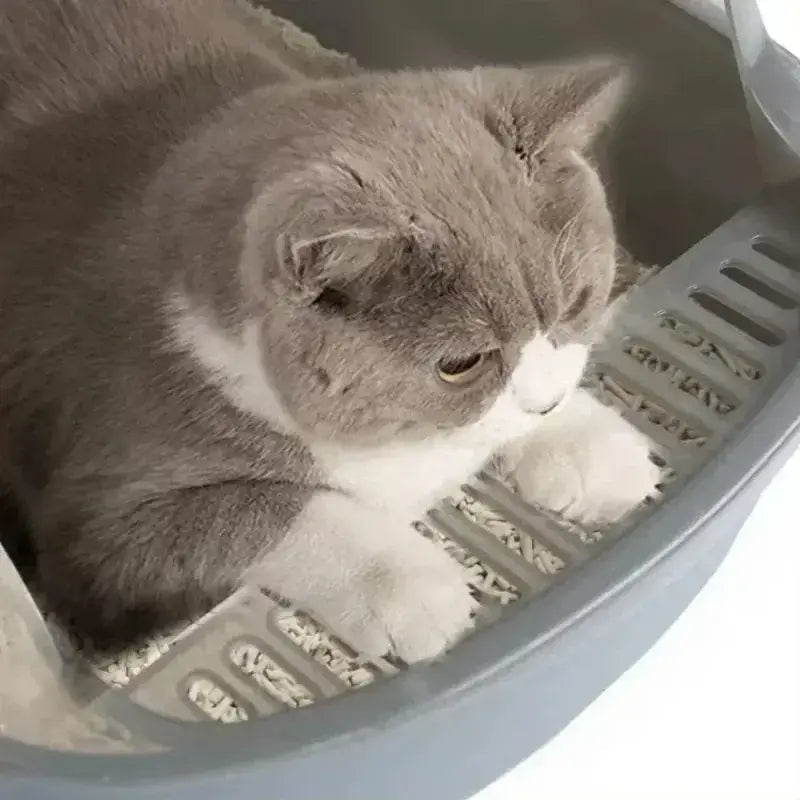 Cat Litter Box with Splash Guard for Easy Cleaning
