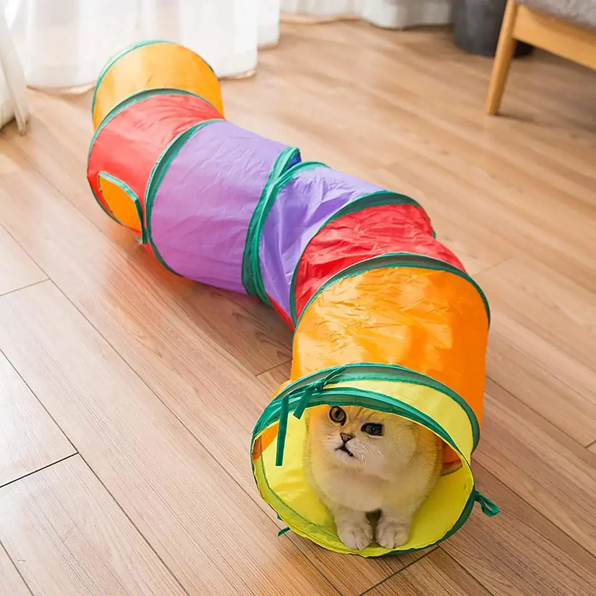 Collapsible Cat Tunnel for Active Play and Restful Hiding