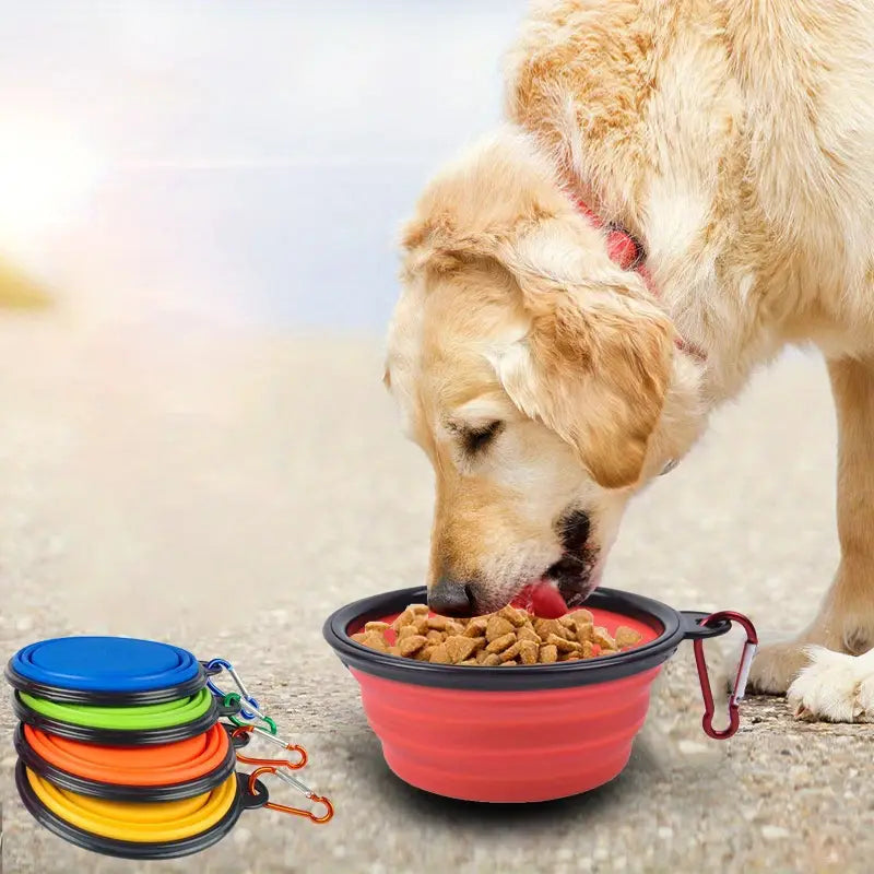 Collapsible Silicone Dog Bowl for Stress-Free Travel Feeding