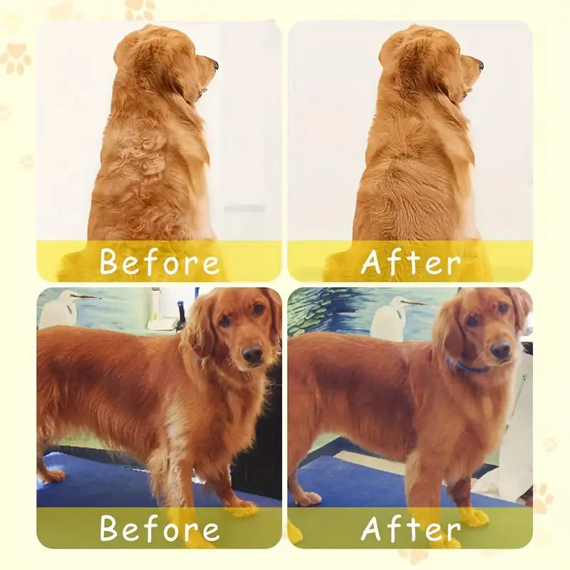 Steam Grooming Brush for Silky Pet Coats and Massage