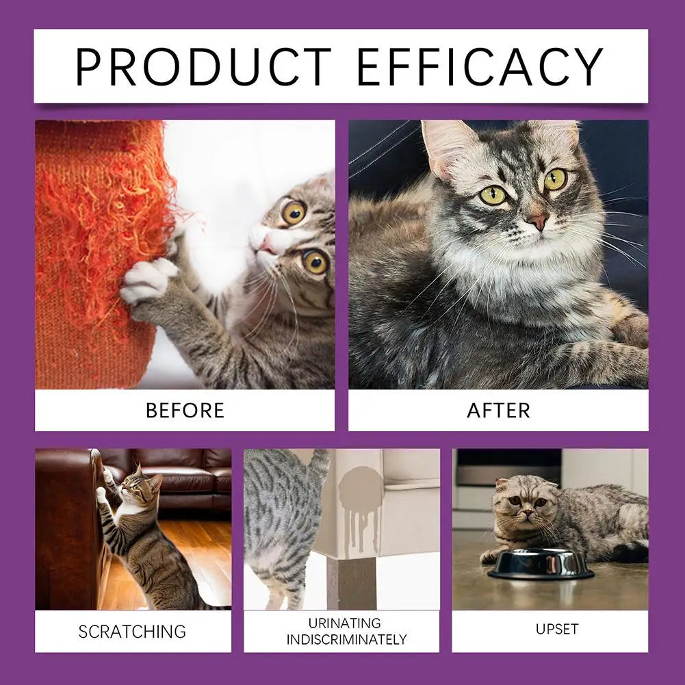 Cat Calming Spray for Instant Anxiety Relief