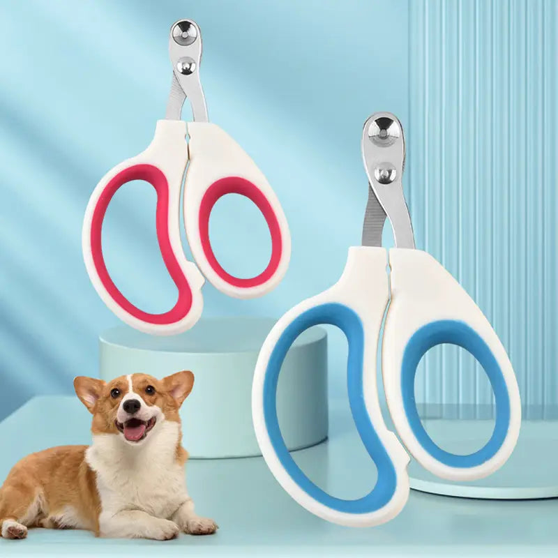 Pet Nail Clippers for Painless Professional Home Grooming