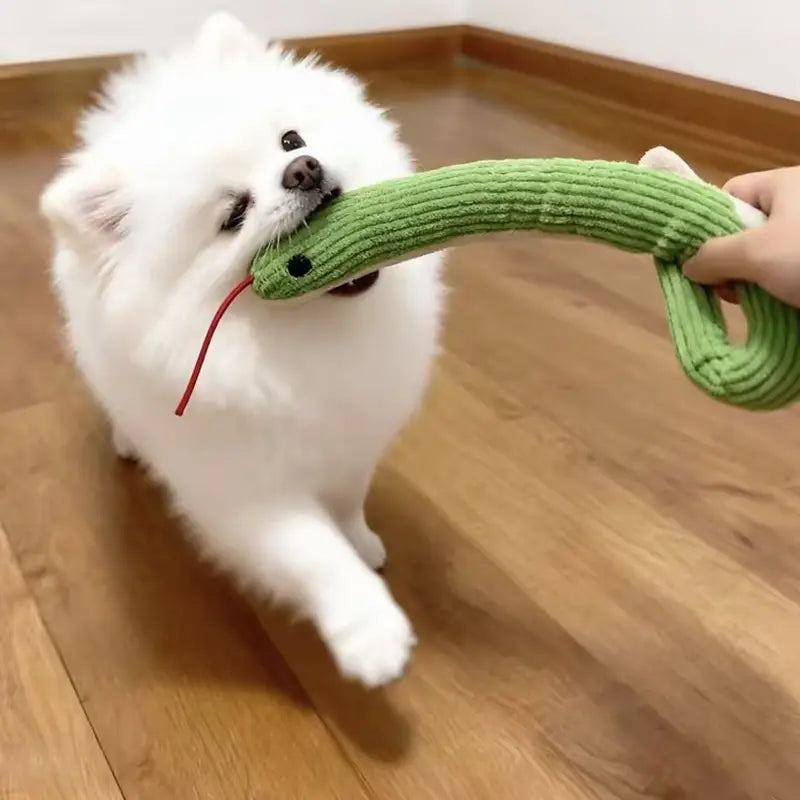 Interactive Snake Toy for Engaging Dog and Cat Play