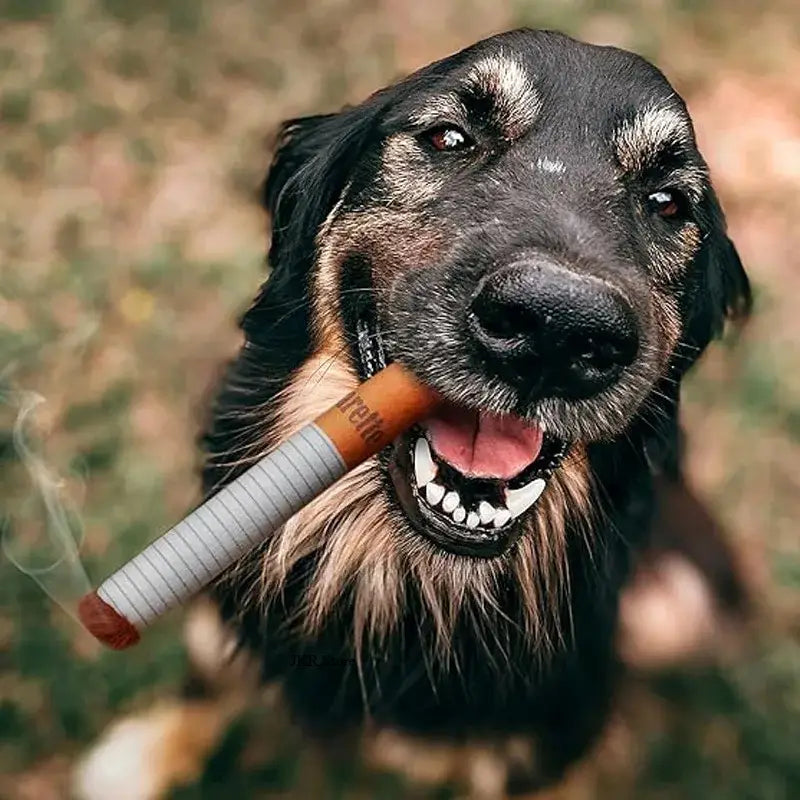 Squeaky cigarette dog toy for interactive play